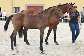 Celline Ruf